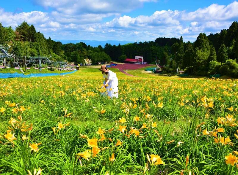 【愛媛県内発】 湯の花温泉「おもてなしの宿 渓山閣」と京都・兵庫５つの涼景・名所めぐり ２日間3
