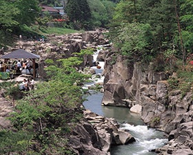 中尊寺とみちのくあじさい園3