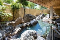 【岡崎発】＊１泊４食付＊『甲州 石和温泉花火大会と山梨巨峰狩り』2