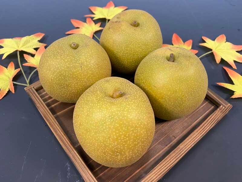【高松駅発】 神戸牛・丹波牛食べ比べ＆松茸ごはんがお出迎え！丹波グルメ尽くし総力祭　日帰り3
