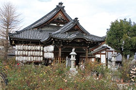 姫路　加古川発
第2回　大和七福神巡り3