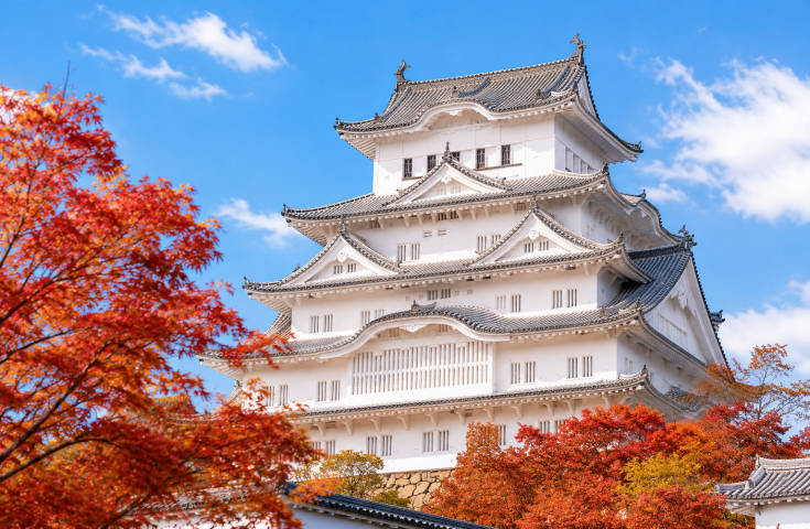 [なんば発]昼食天ぷら豪華セット♪世界遺産「姫路城」と数々の文豪や著名人に親しまれた有馬温泉＆日本でも有数の眺望スポットの六甲山散策日帰りバスツアー(英語ガイド付)1