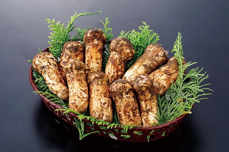 ＜東京・新宿発＞信州松茸小屋「松茸山・別所和苑」で松茸料理の昼食とカニ足食べ放題の夕食！2日間　秋の味覚の王様松茸を堪能!松茸寿司 松茸鍋 土瓶蒸し 松茸天ぷら他/2日目昼食1