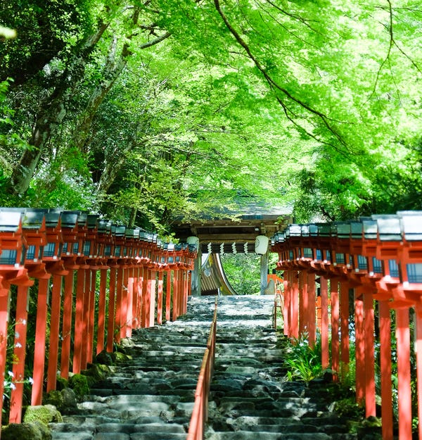 【岡山・下市発着】納涼　貴船川床料理『貴船荘』でいただく京の味覚　全席椅子席でらくらく安心3