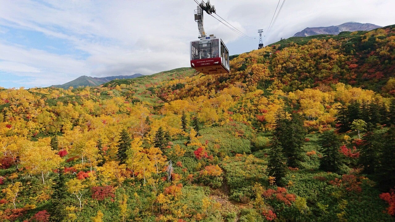 【帯広→高松FDAチャーターらくらく直行便2時間10分！】日本一早い紅葉の大雪山旭岳ロープウェイと煌めく積丹ブルーを訪ねて1