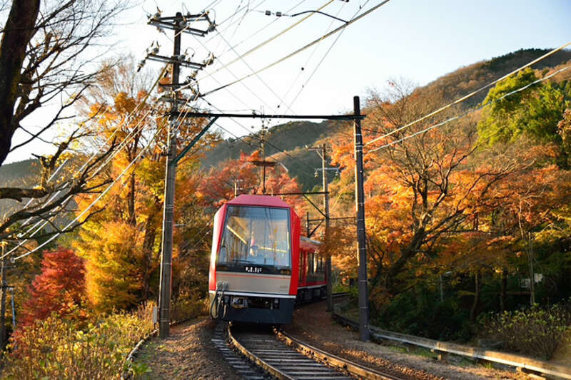 【東京駅・品川駅・川崎駅・横浜駅・大船駅発】 ＜WEB予約・カード決済限定＞箱根フリーパス付！特急踊り子（東京駅～小田原駅間）指定席で行く！　箱根ぐるり周遊日帰りフリープラン1