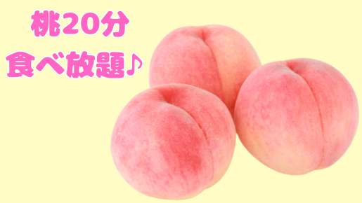 ＜Web割対象商品＞【キングツアーバス旅】夏のやまなし満喫♪シャトレーゼスイーツ&デラウェア&桃トリプル食べ放題♪&ひまわり〔多摩センター・京王八王子発〕2