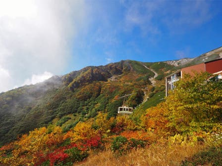 中部発　日帰り　２，６１２ｍの雄大な大自然！日本百名山を散策！中央アルプス高山植物園　千畳敷カール2