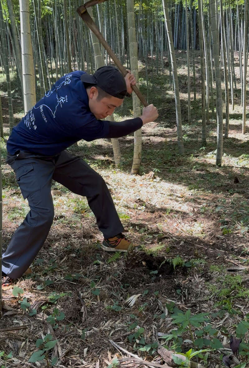 【東京都内発※町田を除く】 春到来！関東随一の産地 ◆千葉のたけのこ◆約1キロ掘り体験＆ 地元で人気のお洒落レストランで～春の彩り特製ランチ～　日帰り2