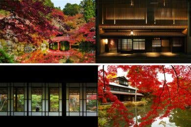 【広島駅・福山駅発着】ほんまもんの京都【霜月】~「醍醐の紅葉狩り」と静かな秋の美景「白沙村荘」~