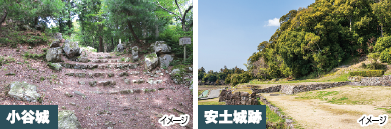 【広島駅・福山駅発着／新幹線利用】ふるさとの山城を歩く（1泊2日） 【番外編】織田・豊臣ゆかりの 小谷城・近江八幡山城