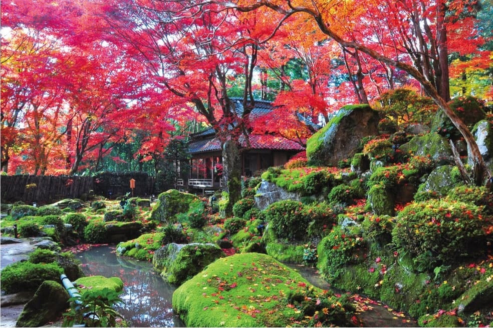 ＜滋賀＞小堀遠州作名勝庭園　石の寺 教林坊秋の特別公開【垂水･名谷･西鈴蘭台出発】1