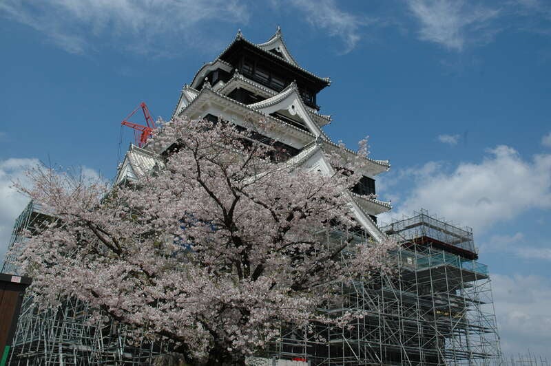 【高知駅・後免駅・土佐山田駅・阿波池田駅発】 雲仙・阿蘇内牧温泉泊　九州横断“さくら”いいとこ取りの旅３日間3