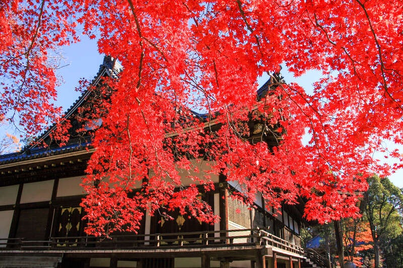 【宮城県・新幹線駅（仙台駅・白石蔵王駅・古川駅・くりこま高原駅）発】 ＜厳選のホテルに宿泊＞錦を纏う！古都京都１６ヵ所の世界遺産周遊（4日間）3