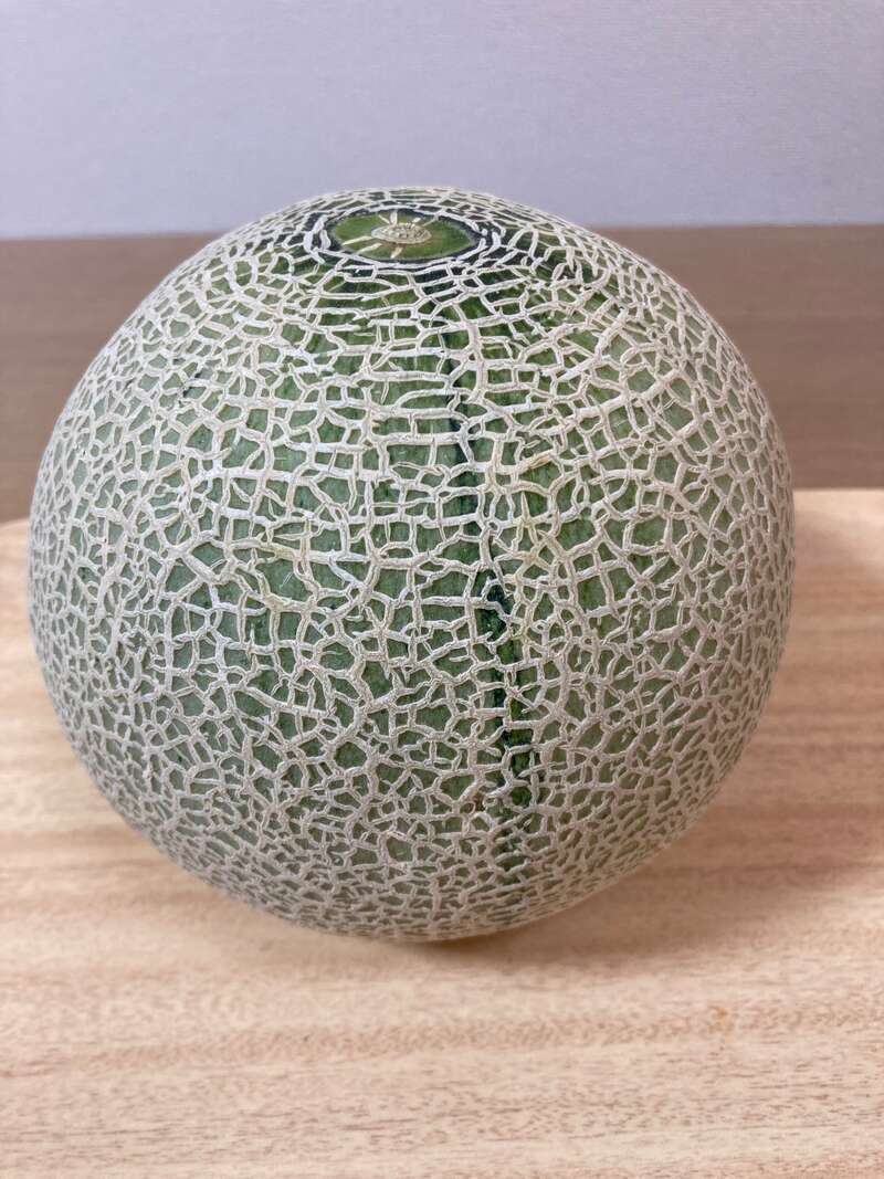 【小倉・黒崎・引野口発】さくらんぼ・メロン・スイートコーンのお土産付き！雨季ウキさくめろミステリーツアー 日帰り3