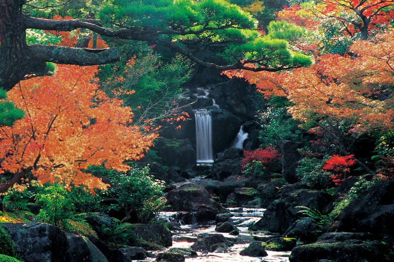 【鳥取・ハワイ・倉吉発】 紅葉の由志園と「神在月」に行く 出雲大社・万九千神社　日帰り2