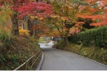 ★９/１７出発・１１/１２出発【名古屋駅発】往路フェリー・復路新幹線利用　太平洋フェリーで行く！日本三景・松島と世界遺産中尊寺・名湯　秋保温泉『みちのく名所周遊４日間』3