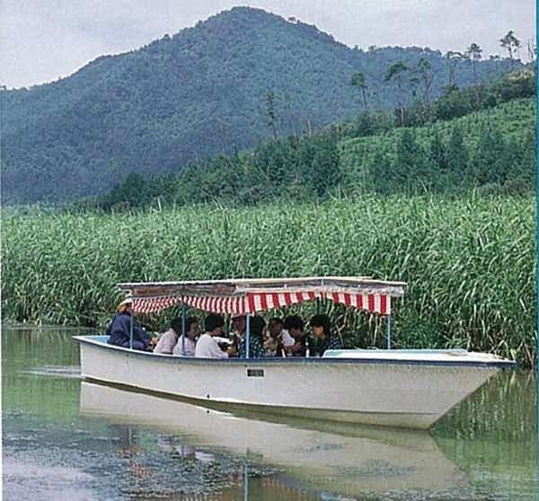 【兵庫県内発】 シャインマスカット含む3つのフルーツ食べ放題&3つのスポットをめぐる…サンサンミステリーツアー 日帰り3