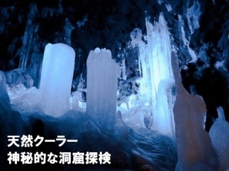 西船橋発 ひんやり天然クーラー♪神秘的な氷の洞窟「鳴沢氷穴」探検＆桔梗信玄餅詰め放題＆シャインマスカット狩り食べ放題＜JAMJAM TOUR＞1