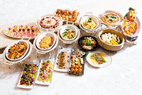 明石　名谷　三宮発
100万株の青い花ネモフィラ祭り2026と三田芝桜園花のじゅうたん2