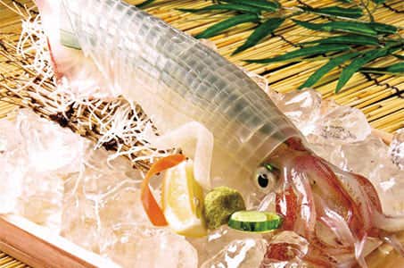 【名古屋】夏でもひんやり涼しい圧巻の洞窟探検 漁港直送イカ活き造りとのどぐろを食す近江日帰り ~ワクチン・検査パッケージ適用ツアー~<バス相席あり>