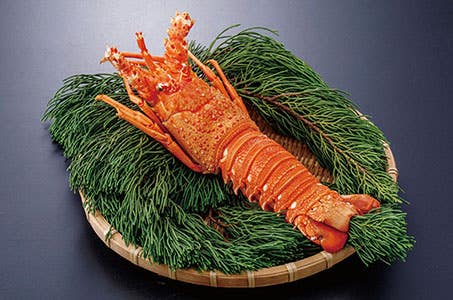 【東岡崎発着】「海水園」にてズワイガニ・国産伊勢海老を食す贅沢な一日 滋賀日帰り 【ワクチン3回接種またはPCR検査等陰性の方限定】<バス相席あり>