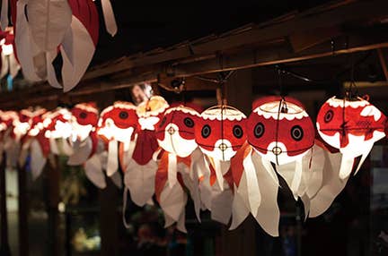 奈良割(四条・京都アバンティ)エンターテインメントアクアリウム!金魚ミュージアム 奈良うまいもん御膳いちご狩り食べ放題 日帰り ※ツアー当日参加者全員の本人確認書類・ワクチン3回接種証明又はPCR陰性証明の持参が参加条件