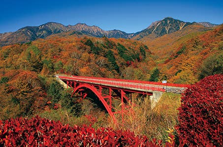 【名古屋発着】秋色の絶景「清里テラス」&紅葉の八ヶ岳と天空レストランで甲州ワインビーフシチューの昼食 日帰り <ワクチン・検査パッケージ適用ツアー><バス相席あり>