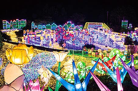 ◎新宿発【今こそしずおか元気旅適用】 日本初体験型イルミネーション!伊豆高原グランイルミ海鮮浜焼き食べ放題日帰り