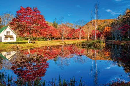 【旭川発着】期間限定特別公開 福原山荘と水際の紅葉をたのしむ然別湖遊覧 日帰り ワクチン検査パッケージ適用
