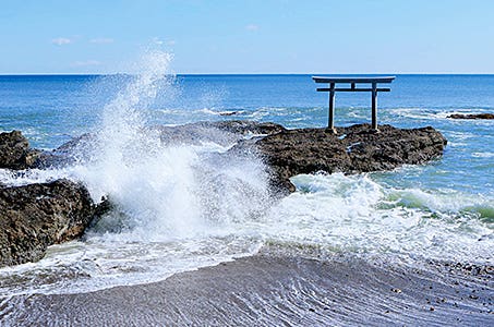 ◎新宿発 大人気!那珂湊おさかな市場でお買い物♪パワースポット2社めぐり!大洗磯前神社酒列磯前神社 日帰り 明太子専門のテーマパーク「めんたいパーク大洗」へもご案内!
