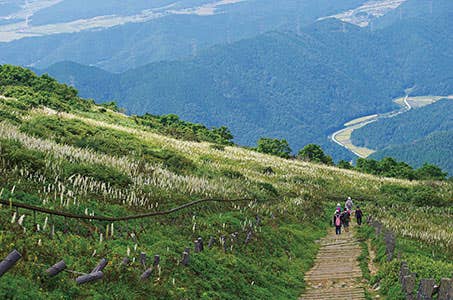 8・9月発【名古屋発着】「近江牛」鉄板焼きコースの夕食と伊吹山星空ナイト夜景鑑賞 日帰り <ワクチン・検査パッケージ適用ツアー><バス相席あり>