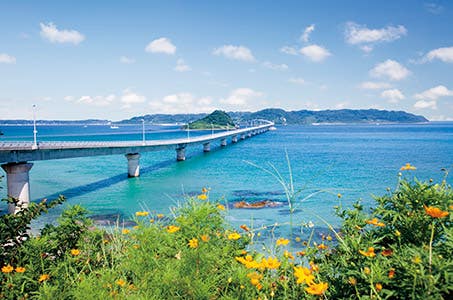 角島大橋・元乃隅神社・青海島 3つの絶景と海鮮丼 日帰り
