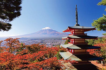 ◎新宿発 山梨紅葉3景♪真っ赤に色づく紅葉を堪能!河口湖もみじ回廊・新倉山浅間公園・鐘山の滝 日帰り ワクチン・検査パッケージ適用!山梨の紅葉は今年も必見!