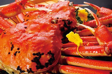 4/1以降【一宮発着】本場越前の料理旅館で食す タグ付越前ガニ一杯付!カニづくしフルコース 日帰り 【ワクチン3回接種済またはPCR検査等陰性の方限定】バス席相席あり