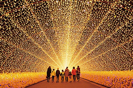 奈良割(姫路発)奈良名物御膳と郡山城跡 国内最大級なばなの里イルミネーション 日帰り ※ツアー当日参加者全員の本人確認書類・ワクチン3回接種証明又はPCR陰性証明の持参が参加条件