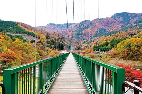 【仙台】紅葉ゴンドラ乗車と那須高原 もみじ谷大吊橋 日帰り ワクチン・検査パッケージ適用