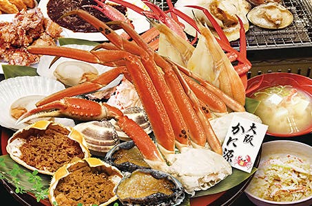 大阪府民割(梅田・なんば発)かに源でかに焼き!海鮮焼き!&りんくうプレミアムアウトレット 日帰り ワクチン・検査パッケージ適用ツアー
