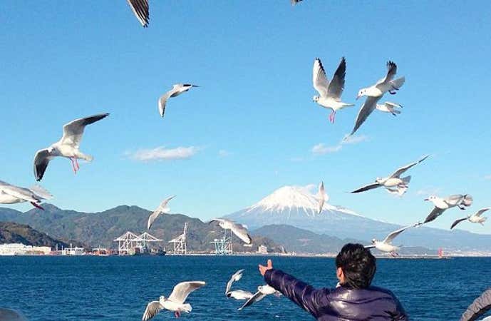 <2名様から催行保証!>国宝『久能山東照宮』参拝とかもめシーズンの『富士山清水みなとクルーズ』に乗船の静岡旅!