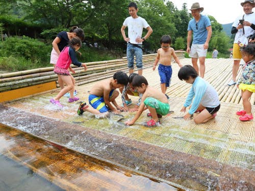 「男川やな」で 鮎のつかみ取り体験&ぶどう収穫体験&人気の竹島水族館