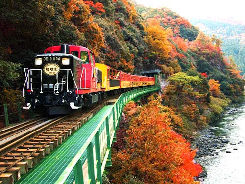 予約困難!秋の嵯峨野トロッコ列車と京のおばんざい&秋の味覚バイキング