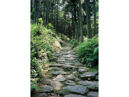 世界遺産・熊野古道 秋の馬越峠ハイキング&尾鷲漁師汁付き握り寿司御膳