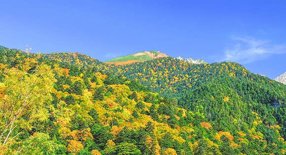 <新宿発・西船橋駅発>乗り換えなしで気軽に行ける日本の山岳リゾート!一度は行きたい上高地にたっぷり4時間滞在!初心者も安心ハイキング♪