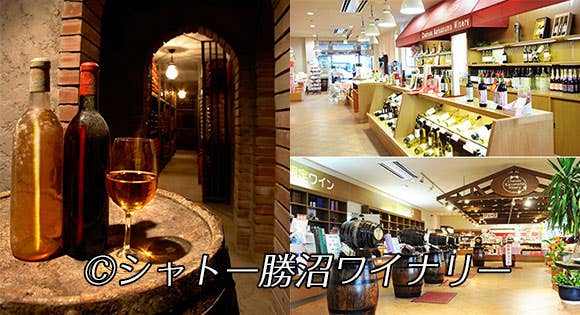 <新宿発・西船橋駅発>~ワイン王国・山梨編~酔ってけ!寄ったれ!お酒好きなら絶対行くべき!ワインの試飲に・日本酒の試飲も!呑んで呑まれて山梨ワイナリー巡り♪<昼食は「地産地消の本格フレンチコース」で舌鼓み!>