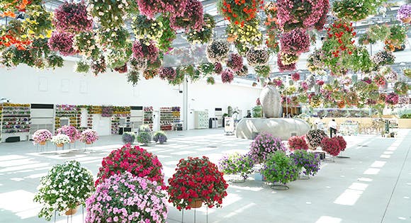 もっとtokyo都民割対象 実質支払額大人 ２ ５００円 子供１ ０００円より 新宿発 西船橋駅発 今こそ東京に行くtoki Yoー 西東京を楽しもう 新感覚フラワーパーク Hana Biyori に 深大寺 自由散策 招き猫発祥の地 豪徳寺 に貴重な天文研究施設 国立