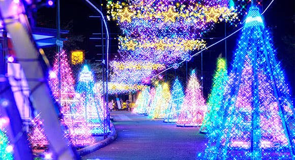 <全国旅行支援対象コース・実質支払額(大人)7,200円!><新宿発・西船橋駅発>光のトンネル!時之栖イルミネーションと冬の夜空を彩る熱海海上花火大会~地ビール飲み放題と鉄板ステーキ・寿司・デザートなど約50種バイキングの夕食付き!~