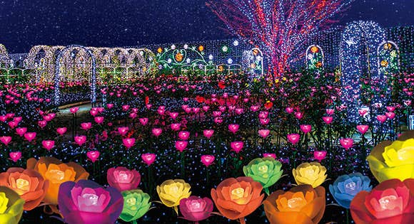 ★催行決定!残席わずか♪<全国旅行支援対象コース・実質支払額(大人)4,980円!><新宿発・西船橋駅発>日本三大イルミネーションに選ばれた「光の花の庭」あしかがフラワーパーク 夢ライナー♪~クリスマス・ファンタジー開催中の園内たっぷり満喫・3時間~