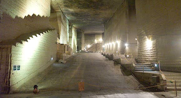 <新宿発・西船橋駅発>気分は探検隊!地下に広がるひんや~り巨大地下空間!大谷資料館&古酒が眠る洞窟「島崎酒造」&下野トトロ神社「星宮神社」巡り!栃木穴場ツアー♪<昼食は宇都宮名物!餃子ランチをお召し上がりください>