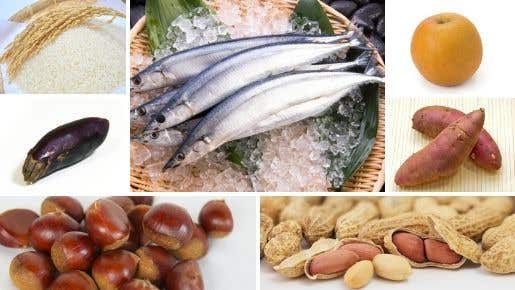 <Web申込でお1人様500円割引>【キングツアーバス旅/42席定員】フルーツ食べ放題にサンマつかみ取り!房総 秋の味覚盛りだくさん〔吉祥寺・明大前・新宿発〕