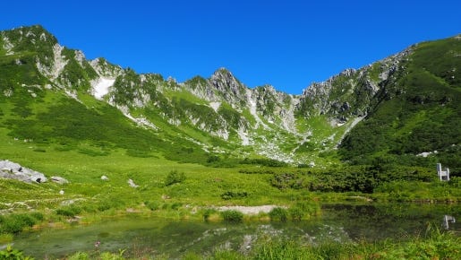 <Web申込でお1人様500円割引>【キングツアーバス旅/42席定員】標高2,600mの別世界 高山植物の咲く中央アルプス駒ヶ岳ロープウェイ 千畳敷カール〔多摩センター・京王八王子発〕*「千畳敷カール」は、7・8月でも最高気温が20℃ほど。整備された遊歩道を散策